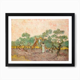 Women Picking Olives (1889), Vincent Van Gogh Art Print