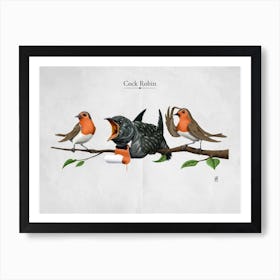 Cock Robin Art Print