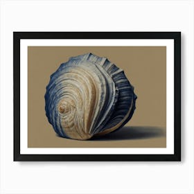 Clam Shell Hamptons style Art Print