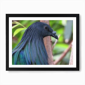 Pretty bird black green in park Art Print