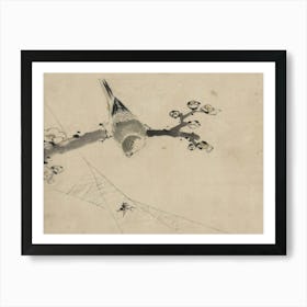 Bird Perched On A Branch 7 Art Print