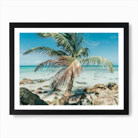 Palm Tree In Paradise On Little Corn Island Art Print