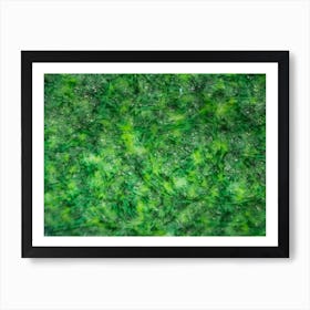 Abstract Green Pattern Fabric Texture On Israeli Money Bill Of 50 Shekel Under The Microscope 1 Art Print