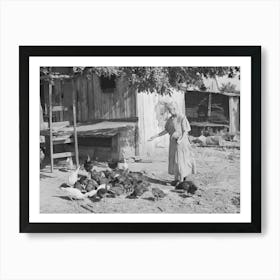 Untitled Photo, Possibly Related To Wife Of Tenant Farmer Living Near Muskogee, Oklahoma, Feeding The Chickens Art Print