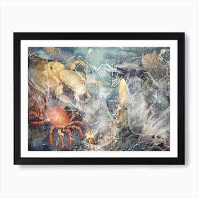 Sea Nautic Art Illustration In A Painting Style 09 Art Print