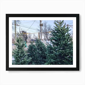 Christmas Trees Art Print