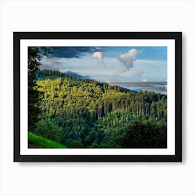 Forest Landscape Art Print