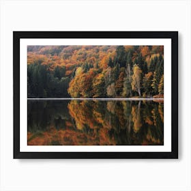 Autumn Forest Lake Reflection Art Print
