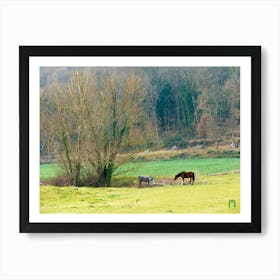 Horses Grazing In A Field 20220102 232ppub Art Print