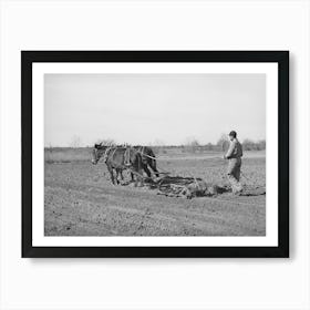 Son Of Pomp Hall, Tenant Farmer, Harrowing, Creek County, Oklahoma, See General Caption Number 23 By Art Print