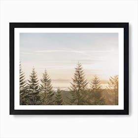 Rustic Forest Sunrise Art Print