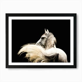 Horsetail in motion - Ardennes Belgian horse photo print - moody animal photography art Art Print