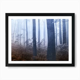 Forest Dreamland - Pacific Northwest Nature II Art Print