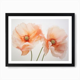 Poppies 3 Art Print