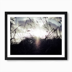 Reeds on the Beach 3 Art Print