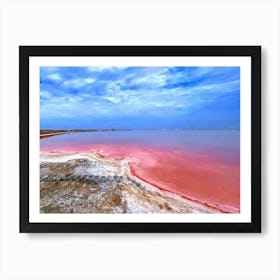 Pink Salt Lake in Walvis Bay, Namibia (Africa Series) Art Print