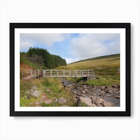 Bridge Over A Stream at Pen y Fan Affiche