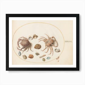 Animalia Aqvatilia Et Cochiliata (1575 1580), Joris Hoefnagel (5) Art Print