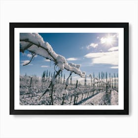 Unitltled 07 - Snow in the Vineyard Series Art Print