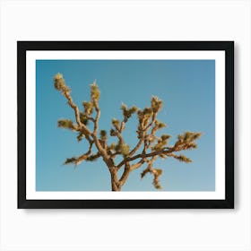 Joshua Tree Moon III on Film Art Print