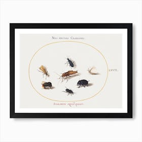 Seven Insects, Including A White Butterfly And A Bee, Joris Hoefnagel Art Print