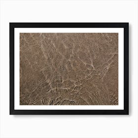 Coronado Gold Sand II Art Print