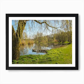 Willow Tree In The Park Art Print