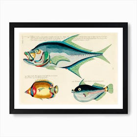 Colourful And Surreal Illustrations Of Fishes Found In Moluccas (Indonesia) And The East Indies, Louis Renard(94) Art Print