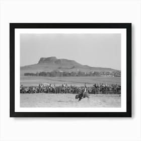 Riding A Buffalo, Bean Day, Wagon Mound, New Mexico By Russell Lee Art Print