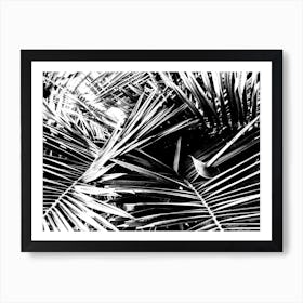 Palm Black Art Print