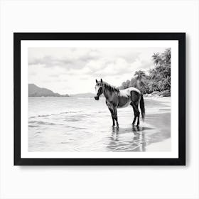 A Horse Oil Painting In Ao Nang Beach, Thailand, Landscape 1 Art Print