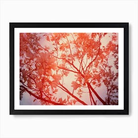 Magnolia Tree In Red Flare Art Print