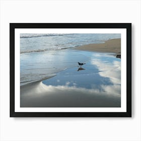 Bird and reflections on the sandy beach Art Print