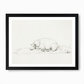 Lying Sheep, Jean Bernard Art Print