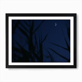 The Bright Side of the Moon Art Print