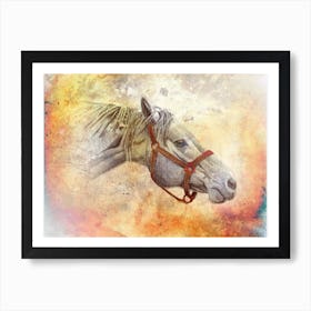 Horse Drawing Art Illustration In A Photomontage Style 49 Art Print