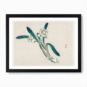 Bunchflower Daffodil, Kōno Bairei Art Print