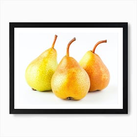 Three Pears Isolated On White Art Print