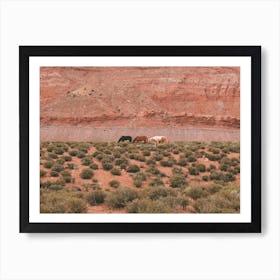 Herd Of Desert Horses Art Print