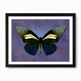 Mechanical Butterfly The Battus Crassus On A Purple Background Art Print