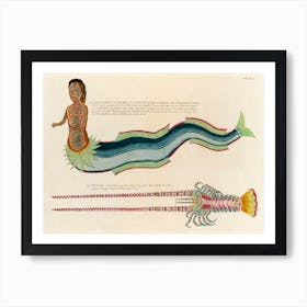 Illustrations Of A Siren And Lobster Found In The Moluccas (Indonesia) And The East Indies, Louis Renard(81) Art Print