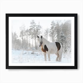 Furry Winter Horse Art Print