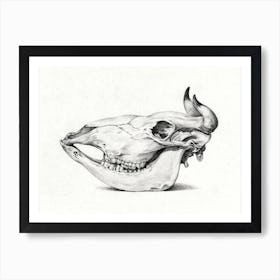 Skull Of Cow, Jean Bernard Art Print