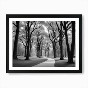 Black And White Trees Art Print