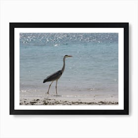 Heron On The Beach 2 Art Print