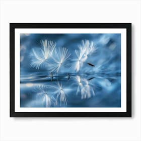 Dandelion Seeds Art Print