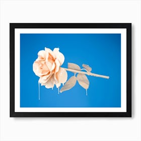 Liquid Rose Art Print