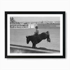 Untitled Photo, Possibly Related To Fancy Riding Demonstration At The Rodeo Of The San Angelo Fat Stock Show 1 Art Print