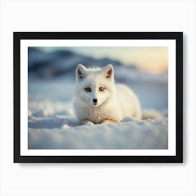 Arctic Fox 2 Art Print