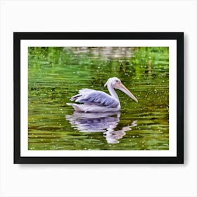 Serene Pelican on Reflective Waters. A majestic pelican calmly glides across tranquil green waters, its elegant form mirrored in the gentle ripples. The image captures a peaceful moment of harmony between the bird and its serene aquatic environment. Art Print